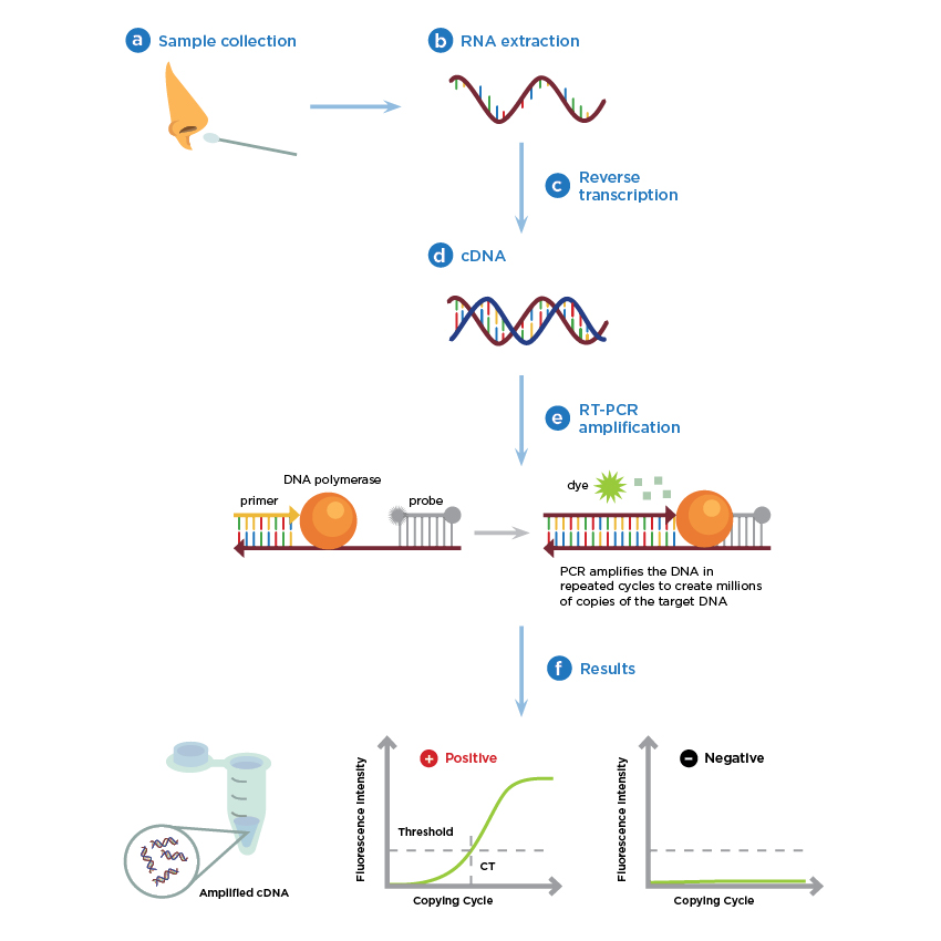 covid19-molecular-testing-basics